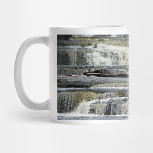 Aysgarth Falls Mug